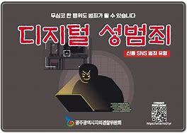 사이버성폭력, 사이버성범죄